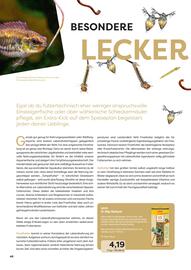 ZOO & Co Flugblatt Seite 48