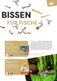 ZOO & Co Flugblatt Seite 49