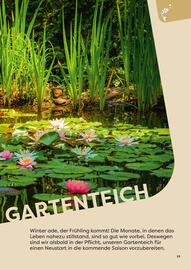 ZOO & Co Flugblatt Seite 53