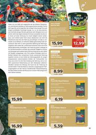 ZOO & Co Flugblatt Seite 55