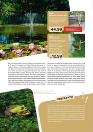 ZOO & Co Flugblatt Seite 60