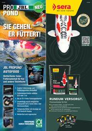 ZOO & Co Flugblatt Seite 61