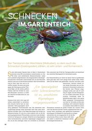 ZOO & Co Flugblatt Seite 62