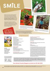 ZOO & Co Flugblatt Seite 66