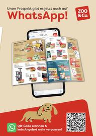ZOO & Co Flugblatt Seite 67
