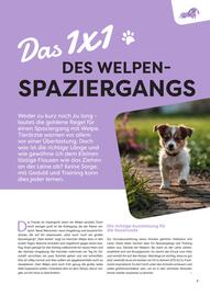 ZOO & Co Flugblatt Seite 7