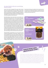 ZOO & Co Flugblatt Seite 9