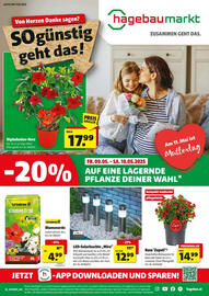 Hagebau Flugblatt Seite 1