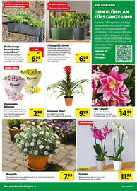 Hagebau Flugblatt Seite 2