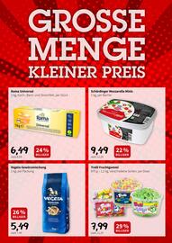 Der Grissemann Flugblatt woche 20 Seite 11