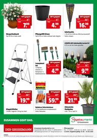 Der Grissemann Flugblatt woche 20 Seite 12