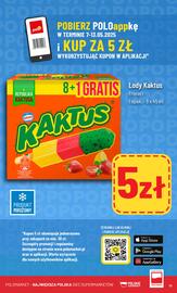 Polomarket gazetka tydzień 19 Strona 13
