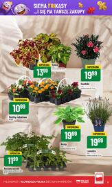 Polomarket gazetka tydzień 19 Strona 17
