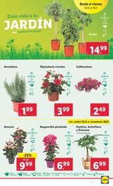 Folleto Lidl semana 20 Página 44