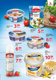 Selgros gazetka Strona 5