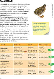 Lagerhaus Flugblatt woche 19 Seite 12