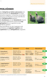Lagerhaus Flugblatt woche 19 Seite 13