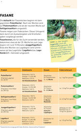 Lagerhaus Flugblatt woche 19 Seite 15