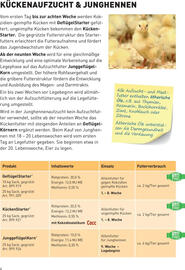 Lagerhaus Flugblatt woche 19 Seite 4