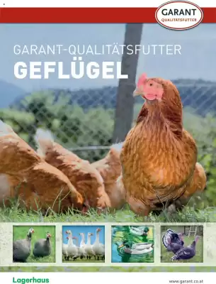 Lagerhaus Flugblatt (gültig bis 12-05)