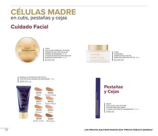 Catálogo Terramar Brands Página 32
