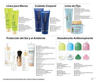 Catálogo Terramar Brands Página 37