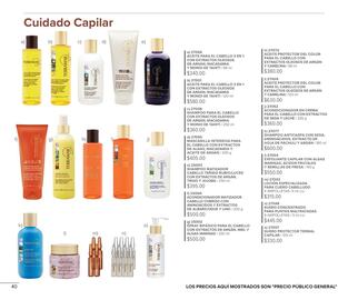 Catálogo Terramar Brands Página 40