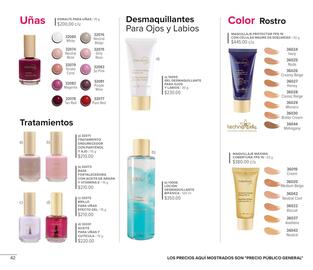 Catálogo Terramar Brands Página 42