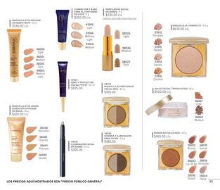 Catálogo Terramar Brands Página 43