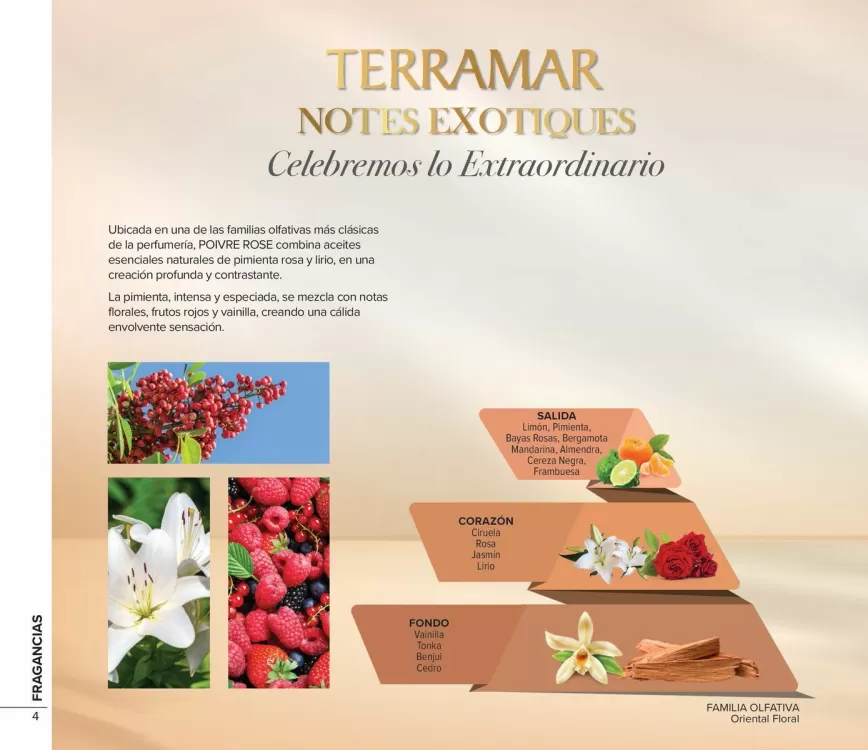 Catálogo Terramar Brands (válido hasta 31-05)