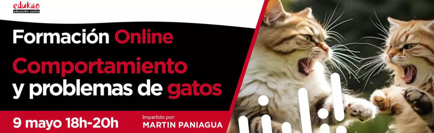 Folleto Don Canino Página 1