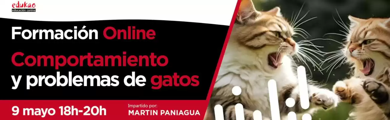 Folleto Don Canino (válido hasta el 9-05)