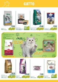 Volantino Majestic Pet's Pagina 2