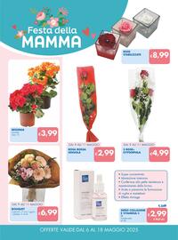 Volantino MD Discount Pagina 11