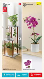 Catálogo BetterWare Página 34