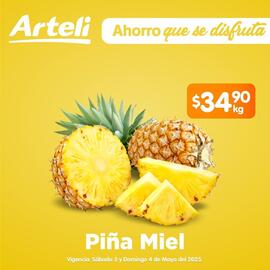 Catálogo Arteli express Página 5
