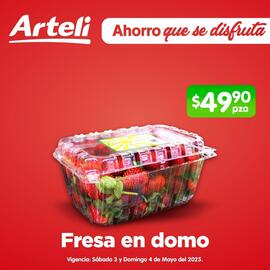 Catálogo Arteli express Página 6