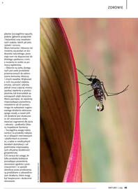 Drogerie Natura gazetka Strona 45