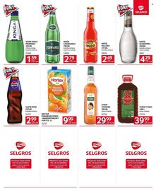 Selgros gazetka Strona 12
