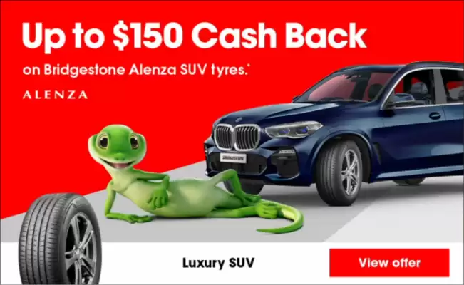 Bridgestone Tyres catalogue (valid until 5-06)