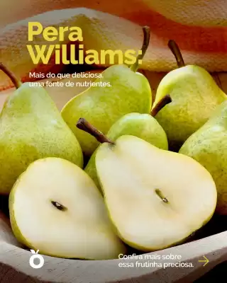 Catálogo Oba Hortifruti (válido até 11-05)