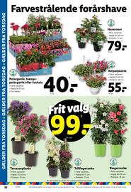 Lidl tilbudsavis Side 8