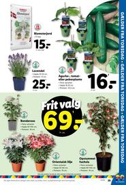 Lidl tilbudsavis Side 9