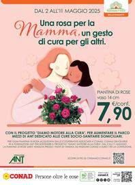 Volantino Conad Margherita Pagina 20