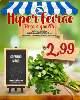 Catálogo Andorinha Hipermercado