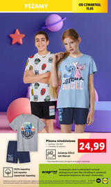 Lidl gazetka tydzień 20 Strona 41