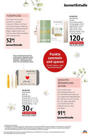 dm Flugblatt Seite 13