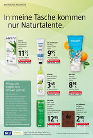 dm Flugblatt Seite 20