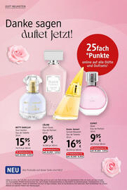 dm Flugblatt Seite 4