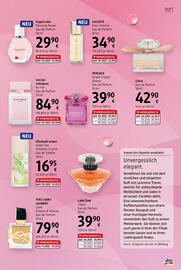 dm Flugblatt Seite 5